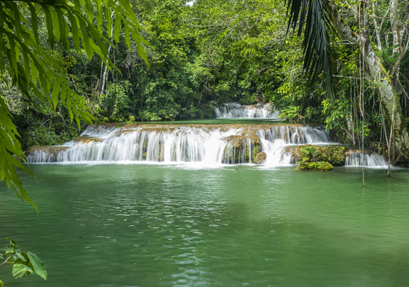 Bonito - Photo by Hudson Garcia (5)